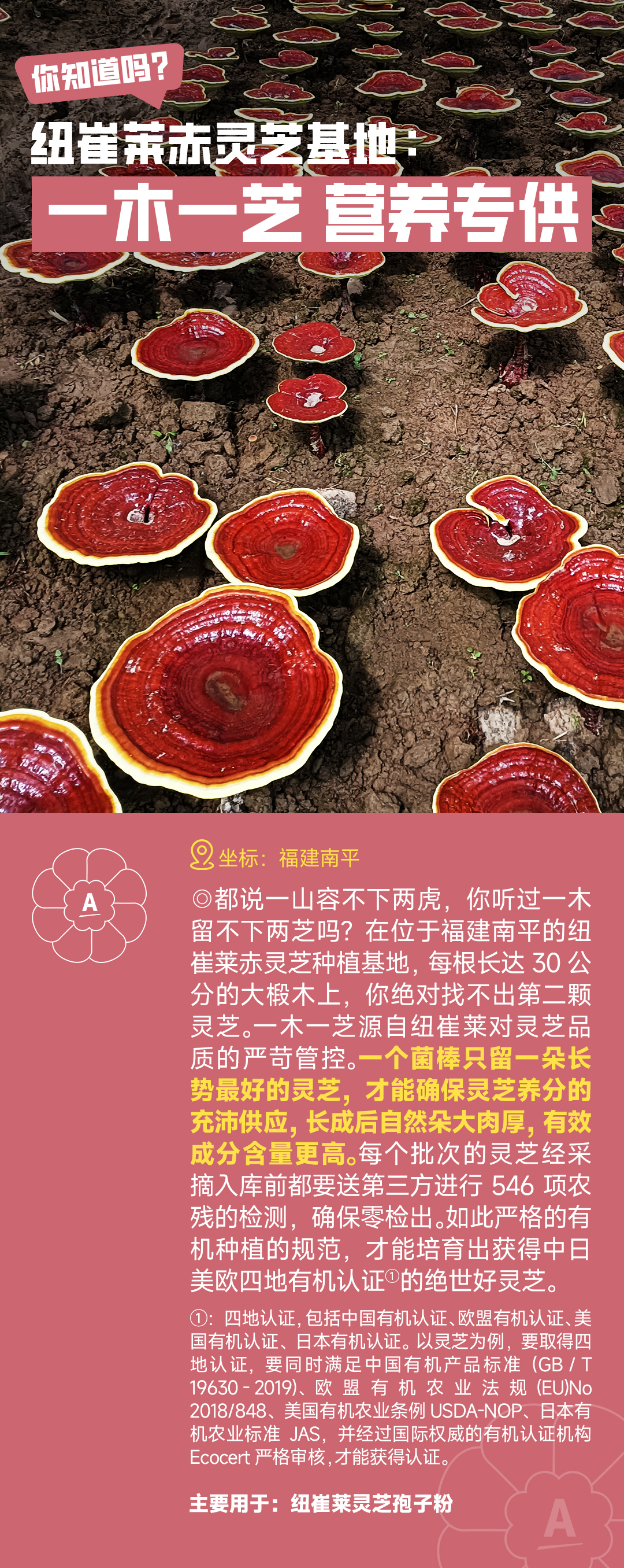 你知道吗？
 纽崔莱赤灵芝基地：一木一芝 营养专供
 坐标：福建南平
 都说一山容不下两虎，你听过一木留不下两芝吗？在位于福建南平的纽崔莱赤灵芝种植基地，每根长达30公分的大椴木上，你绝对找不出第二颗灵芝。一木一芝源自纽崔莱对灵芝品质的严苛管控。一个菌棒只留一朵长势最好的灵芝，才能确保灵芝养分的充沛供应，长成后自然朵大肉厚，有效成分含量更高。每个批次的灵芝经采摘入库前都要送第三方进行546项农残的检测，确保零检出。如此严格的有机种植的规范，才能培育出获得中日美欧四地有机认证的绝世好灵芝。
 四地认证，包括中国有机认证、欧盟有机认证、美国有机认证、日本有机认证。以灵芝为例，要取得四地认证，要同时满足中国有机产品标准（GB/T 19630-2019）、欧盟有机农业法规（EU）No 2018/848、美国有机农业条例 USDA-NOP、日本有机农业标准 JAS，并经过国际权威的有机认证机构 Ecocert 严格审核，才能获得认证。
 主要用于：纽崔莱灵芝孢子粉