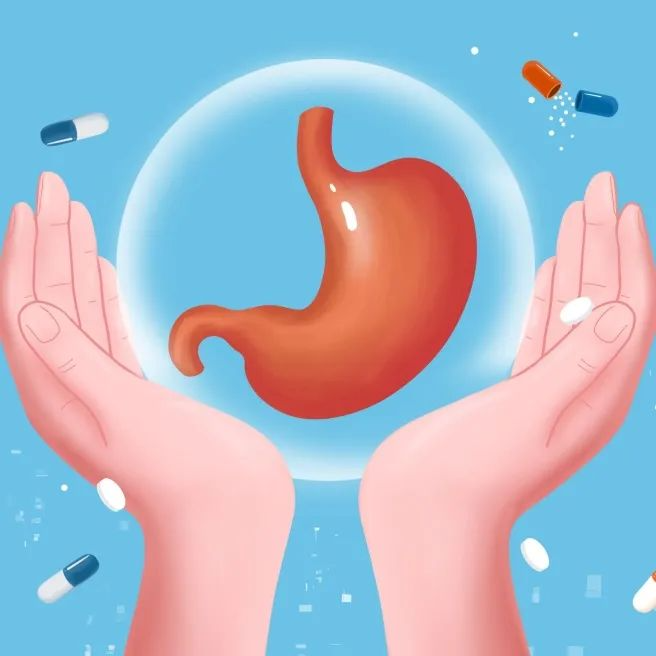 胃部健康保护