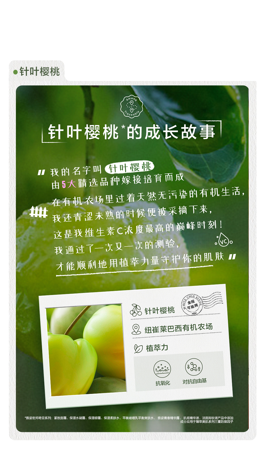 针叶樱桃的生长故事

我的名字叫针叶樱桃
由5大精选品种嫁接培育而成
在有机农场里过着天然无污染的有机生活，
我还青涩未熟的时候便被采摘下来，
这是我维生素C浓度最高的巅峰时刻！
我通过了一次又一次的测验，
才能顺利地用植萃力量守护你的肌肤