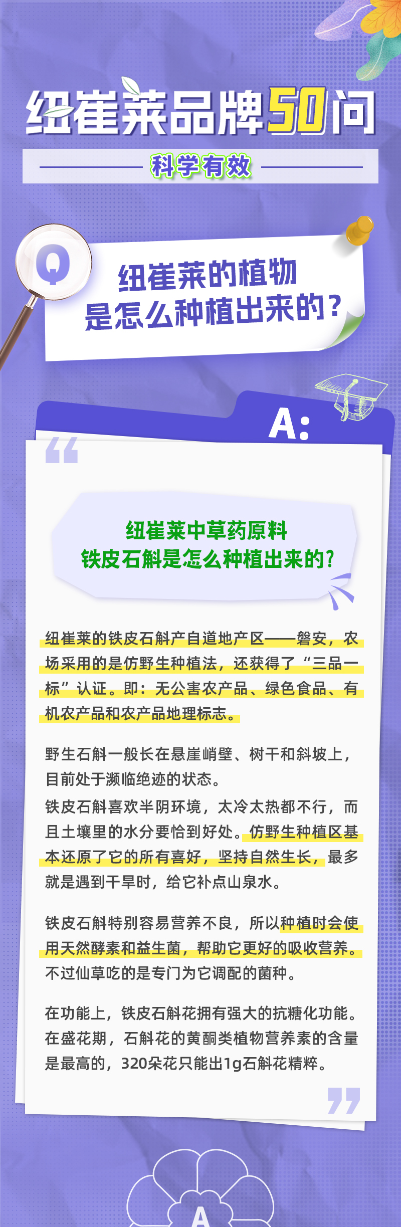 纽崔莱中草药原料铁皮石斛是怎么种植出来的?