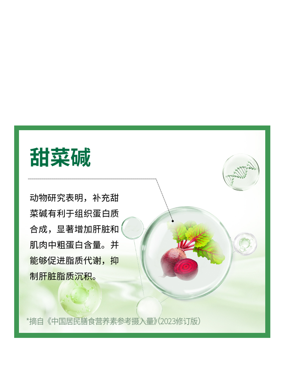 甜菜碱

动物研究表明，补充甜菜碱有利于组织蛋白质合成，显著增加肝脏和肌肉中粗蛋白含量。并能够促进脂质代谢，抑制肝脏脂质沉积。

*摘自《中国居民膳食营养素参考摄入量》（2023修订版）