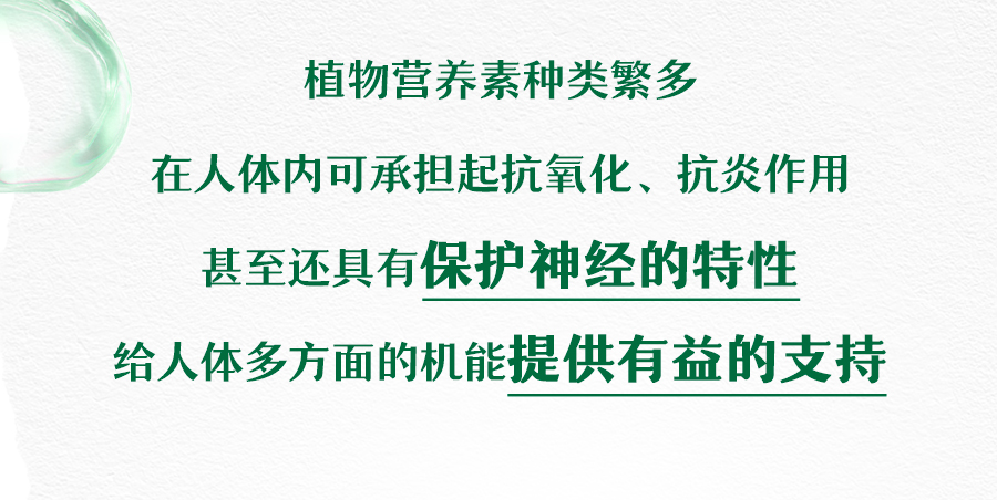 植物营养素种类繁多
 在人体内可承担起抗氧化、抗炎作用
 甚至还具有保护神经的特性
 给人体多方面的机能提供有益的支持