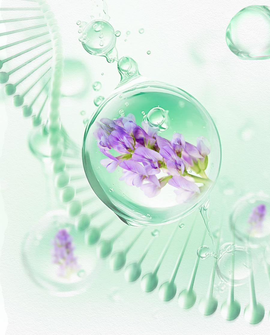 通过植物营养创新产品和解决方案提升公众健康预期寿命

营养早餐是覆盖各个人群的基础营养，为中国消费者提供更全面的基础营养摄入，更针对中国人膳食缺口，提供更独特的植物营养产品和更健康轻松的使用体验。健康生活，从营养早餐开始
营养元素6+1，按需补充每日膳食营养缺口: 优质蛋白、不饱和脂肪酸、磷脂、多维多矿、植物化合物、膳食纤维
细分四大人群，守护全家健康:
    - 纽崔莱男士: 早餐营养补充方案
    - 纽崔莱女士: 早餐营养补充方案
    - 纽崔莱成长: 早餐营养补充方案
    - 纽崔莱健活: 早餐营养补充方案
凭借三大核心优势，细胞焕活、植物力量、科技引领，配合全面均衡的基础营养摄入，实现活力年轻态。让身体年龄，跟上你的想象
    - 细胞焕活、植物力量、科技引领
定制化功能性解决方案
    - 口腔健康、肠胃健康、肝脏健康、心血管健康、睡眠和情绪健康、体重管理和骨骼/肌肉健康