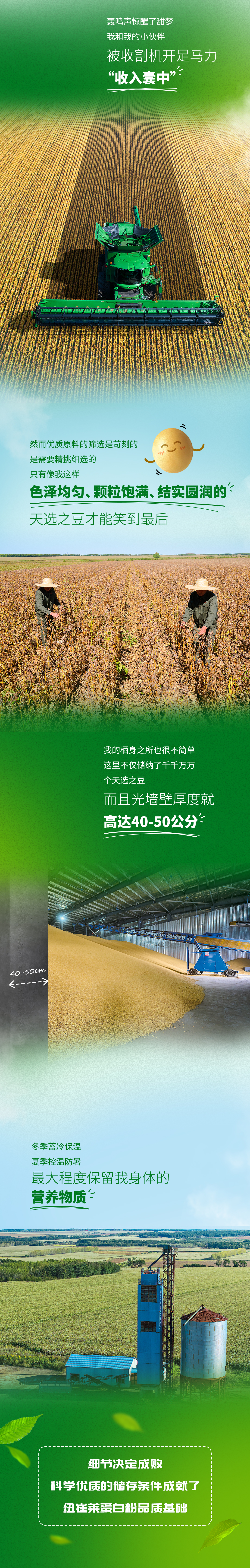 轰鸣声惊醒了甜梦
我和我的小伙伴
被收割机开足马力
“收入囊中”

然而优质原料的筛选是苛刻的
是需要精挑细选的
只有像我这样
色泽均匀、颗粒饱满、结实圆润的
天选之豆才能笑到最后

我的栖身之所也很不简单
这里不仅储藏了千千万万
个天选之豆
而且光墙壁厚度就
高达40-50公分

冬季蓄冷保温
夏季控温防暑
最大程度保留我身体的
营养物质

细节决定成败
科学优质的储存条件成就了
纽崔莱蛋白粉品质基础