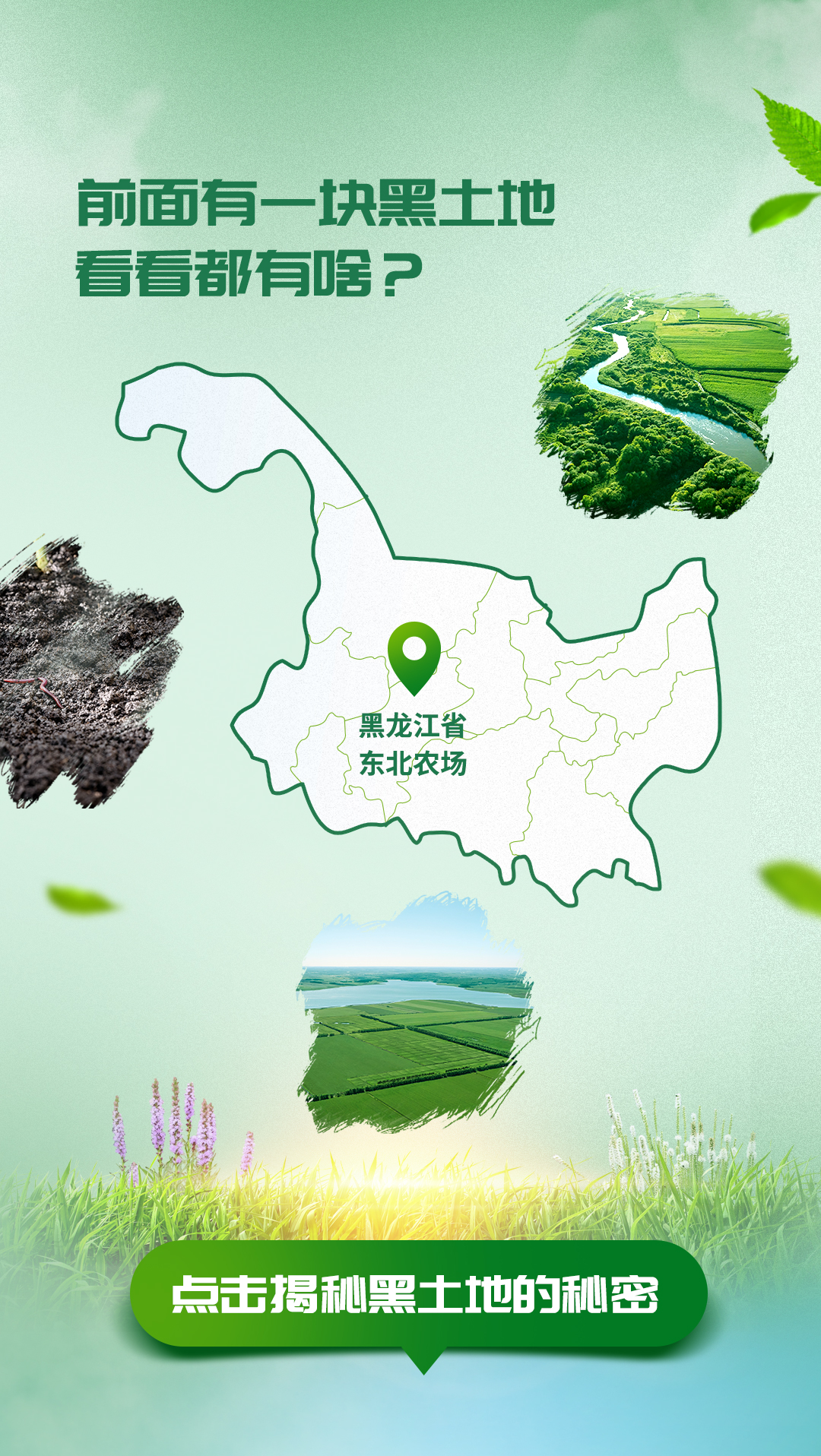 前面有一块黑土地
看看都有啥？

黑龙江省
东北农场

点击揭秘黑土地的秘密