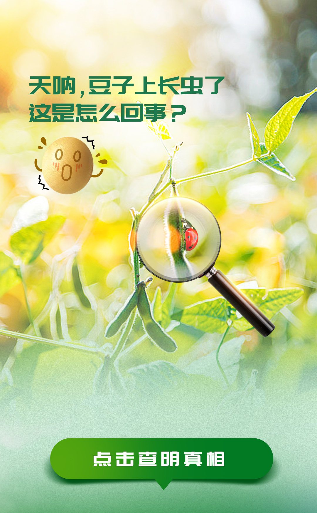 天呐，豆子上长虫了
这是怎么回事？

点击查明真相
