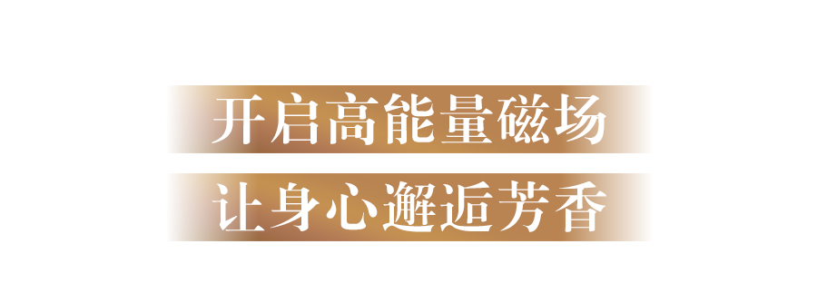 开启高能量磁场
让身心邂逅芳香