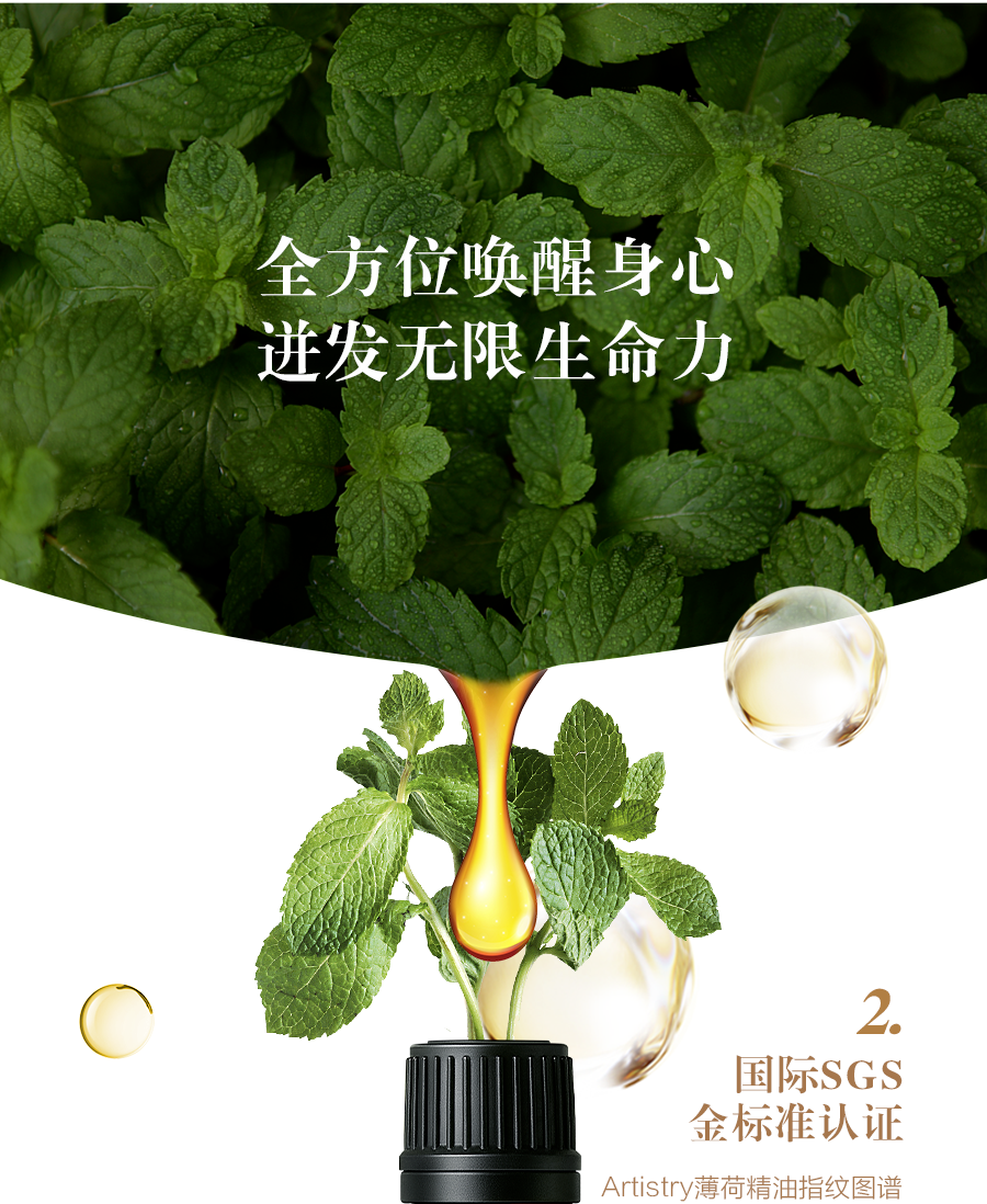 全方位唤醒身心
迸发无限生命力

国际SGS
金标准认证

Artistry薄荷精油指纹图谱