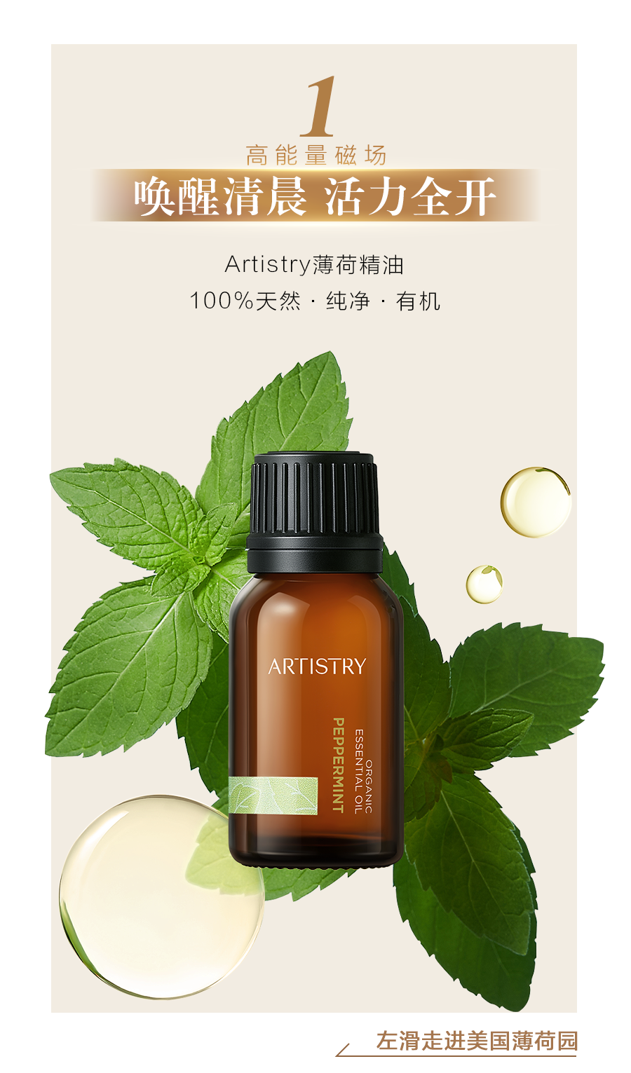 1 高能量磁场
唤醒清晨 活力全开
Artistry薄荷精油
100%天然·纯净·有机
ARTISTRY ORGANIC ESSENTIAL OIL PEPPERMINT