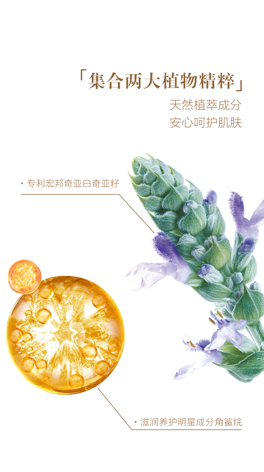 「集合两大植物精粹」
 天然植萃成分
 安心呵护肌肤
 专利宏邦奇亚白奇亚籽
 滋润养护明星成分角鲨烷