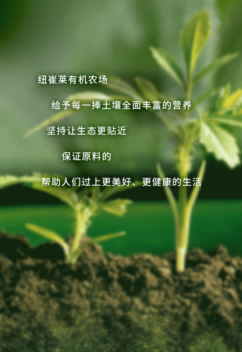 纽崔莱有机农场布局遍布全球
给予每一捧土壤全面丰富的营养
坚持让生态更贴近纯净自然
保证原料的安全优质
帮助人们过上更美好、更健康的生活
