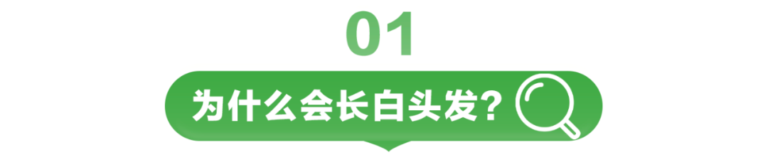 为什么会长白头发？