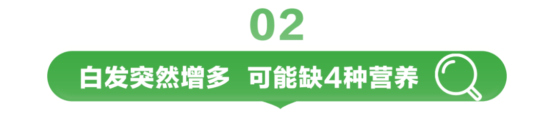 白发突然增多 可能缺4种营养