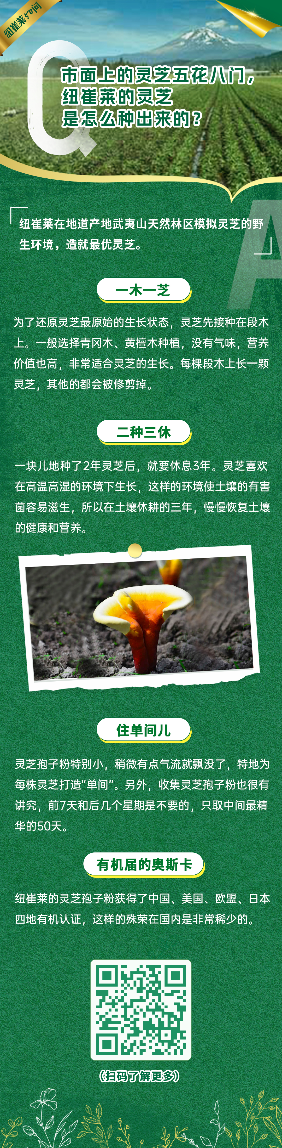 市面上的灵芝五花八门，纽崔莱的灵芝是怎么种出来的？
 纽崔莱在地道产地武夷山天然林区模拟灵芝的野生环境，造就最优灵芝。
 一木一芝
 为了还原灵芝最原始的生长状态，灵芝先接种在段木上。一般选择青冈木、黄檀木种植，没有气味，营养价值也高，非常适合灵芝的生长。每棵段木上长一颗灵芝，其他的都会被修剪掉。
 二种三休
 一块儿地种了2年灵芝后，就要休息3年。灵芝喜欢在高温高湿的环境下生长，这样的环境使土壤的有害菌容易滋生，所以在土壤休耕的三年，慢慢恢复土壤的健康和营养。
 住单间儿
 灵芝孢子粉特别小，稍微有点气流就飘没了，特地为每株灵芝打造“单间”。另外，收集灵芝孢子粉也很有讲究，前7天和后几个星期是不要的，只取中间最精华的50天。
 有机届的奥斯卡
 纽崔莱的灵芝孢子粉获得了中国、美国、欧盟、日本四地有机认证，这样的殊荣在国内是非常稀少的。
纽崔莱50问