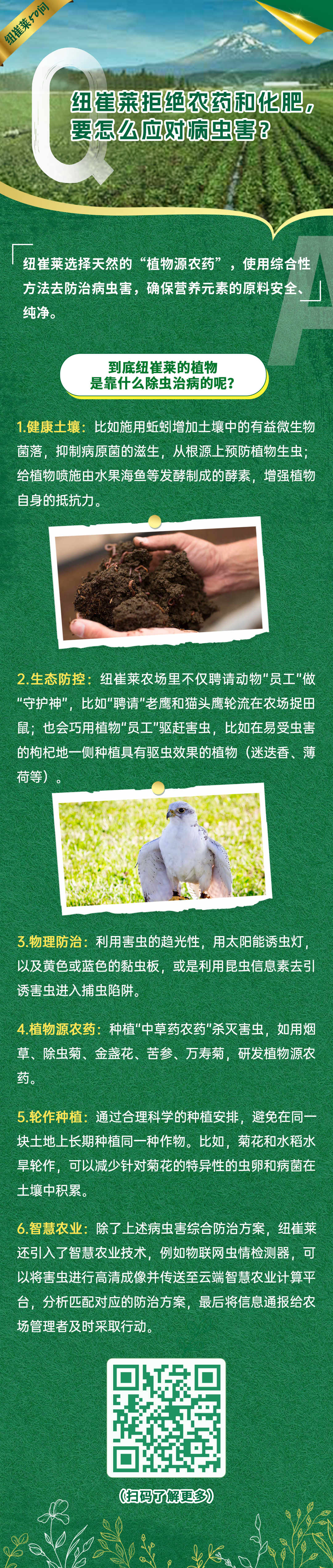 纽崔莱拒绝农药和化肥,要怎么应对病虫害? 纽崔莱拒绝农药和化肥,要怎么应对病虫害?
纽崔莱选择天然的“植物源农药”,使用综合性方法去防治病虫害,确保营养元素的原料安全、纯净。
到底纽崔莱的植物是靠什么除虫治病的呢?
1.健康土壤:比如施用蚯蚓增加土壤中的有益微生物菌落,抑制病原菌的滋生,从根源上预防植物生虫;给植物喷施由水果海鱼等发酵制成的酵素,增强植物自身的抵抗力。
2.生态防控:纽崔莱农场里不仅聘请动物“员工”做“守护神”,比如“聘请”老鹰和猫头鹰轮流在农场捉田鼠;也会巧用植物“员工”驱赶害虫,比如在易受虫害的枸杞地一侧种植具有驱虫效果的植物(迷迭香、薄荷等)。
3.物理防治:利用害虫的趋光性,用太阳能诱虫灯,以及黄色或蓝色的黏虫板,或是利用昆虫信息素去引诱害虫进入捕虫陷阱。
4.植物源农药:种植“中草药农药”杀灭害虫,如用烟草、除虫菊、金盏花、苦参、万寿菊,研发植物源农药。
5.轮作种植:通过合理科学的种植安排,避免在同一块土地上长期种植同一种作物。比如,菊花和水稻水旱轮作,可以减少针对菊花的特异性的虫卵和病菌在土壤中积累。
6.智慧农业:除了上述病虫害综合防治方案,纽崔莱还引入了智慧农业技术,例如物联网虫情检测器,可以将害虫进行高清成像并传送至云端智慧农业计算平台,分析匹配对应的防治方案,最后将信息通报给农场管理者及时采取行动。
纽崔莱50问