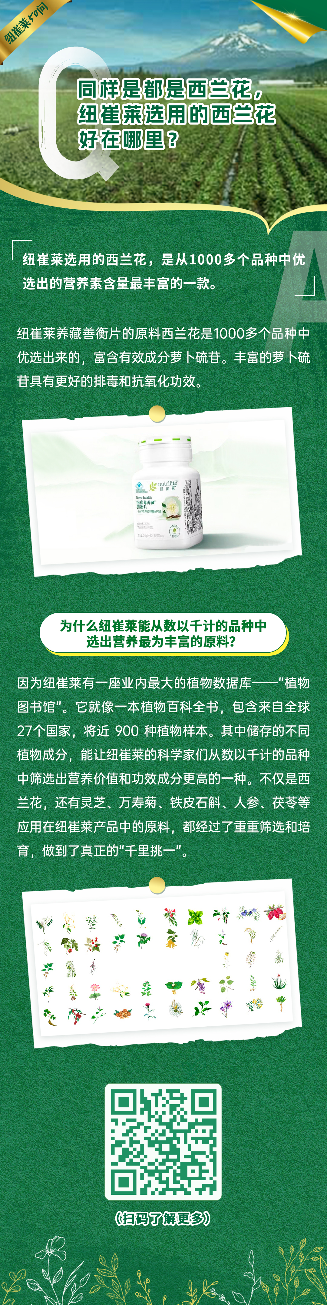 同样是都是西兰花,纽崔莱选用的西兰花好在哪里? 同样是都是西兰花,纽崔莱选用的西兰花好在哪里?
纽崔莱选用的西兰花,是从1000多个品种中优选出的营养素含量最丰富的一款。
纽崔莱养藏善衡片的原料西兰花是1000多个品种中优选出来的,富含有效成分萝卜硫苷。丰富的萝卜硫苷具有更好的排毒和抗氧化功效。
为什么纽崔莱能从数以千计的品种中选出营养最为丰富的原料?
因为纽崔莱有一座业内最大的植物数据库——“植物图书馆”。它就像一本植物百科全书,包含来自全球27个国家,将近900种植物样本。其中储存的不同植物成分,能让纽崔莱的科学家们从数以千计的品种中筛选出营养价值和功效成分更高的一种。不仅是西兰花,还有灵芝、万寿菊、铁皮石斛、人参、茯苓等应用在纽崔莱产品中的原料,都经过了重重筛选和培育,做到了真正的“千里挑一”。
纽崔莱50问