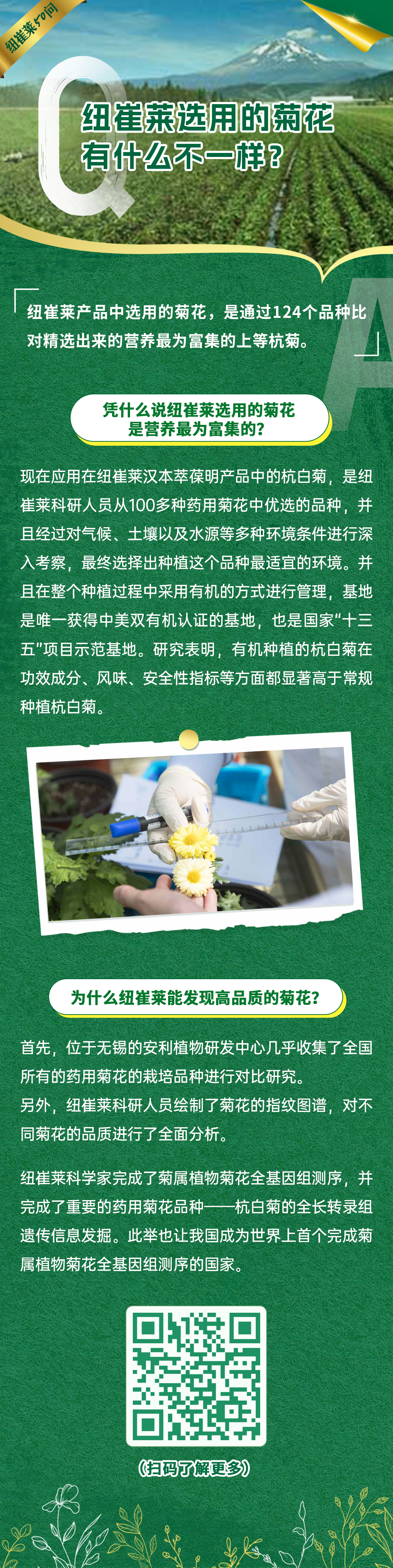 纽崔莱50问
 纽崔莱选用的菊花有什么不一样？
 纽崔莱产品中选用的菊花，是通过124个品种比对精选出来的营养最为富集的上等杭菊。
 凭什么说纽崔莱选用的菊花是营养最为富集的？
 现在应用在纽崔莱汉本萃葆明产品中的杭白菊，是纽崔莱科研人员从100多种药用菊花中优选的品种，并且经过对气候、土壤以及水源等多种环境条件进行深入考察，最终选择出种植这个品种最适宜的环境。并且在整个种植过程中采用有机的方式进行管理，基地是唯一获得中美双有机认证的基地，也是国家“十三五”项目示范基地。研究表明，有机种植的杭白菊在功效成分、风味、安全性指标等方面都显著高于常规种植杭白菊。
 为什么纽崔莱能发现高品质的菊花？
 首先，位于无锡的安利植物研发中心几乎收集了全国所有的药用菊花的栽培品种进行对比研究。另外，纽崔莱科研人员绘制了菊花的指纹图谱，对不同菊花的品质进行了全面分析。
 纽崔莱科学家完成了菊属植物菊花全基因组测序，并完成了重要的药用菊花品种——杭白菊的全长转录组遗传信息发掘。此举也让我国成为世界上首个完成菊属植物菊花全基因组测序的国家。
（扫码了解更多）