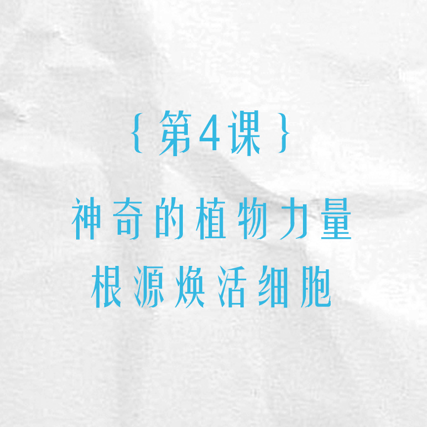 第四课