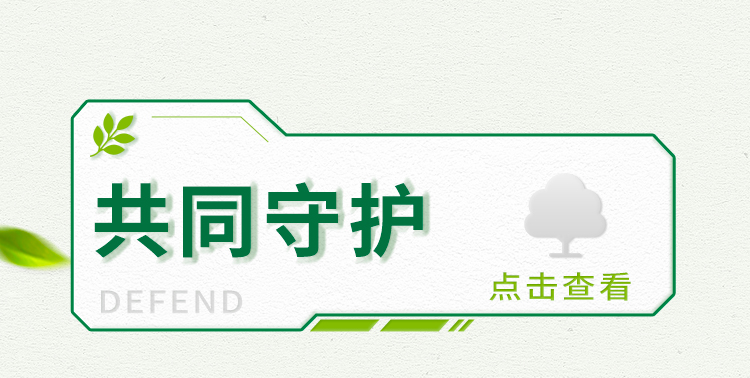 共同守护
DEFEND
点击查看