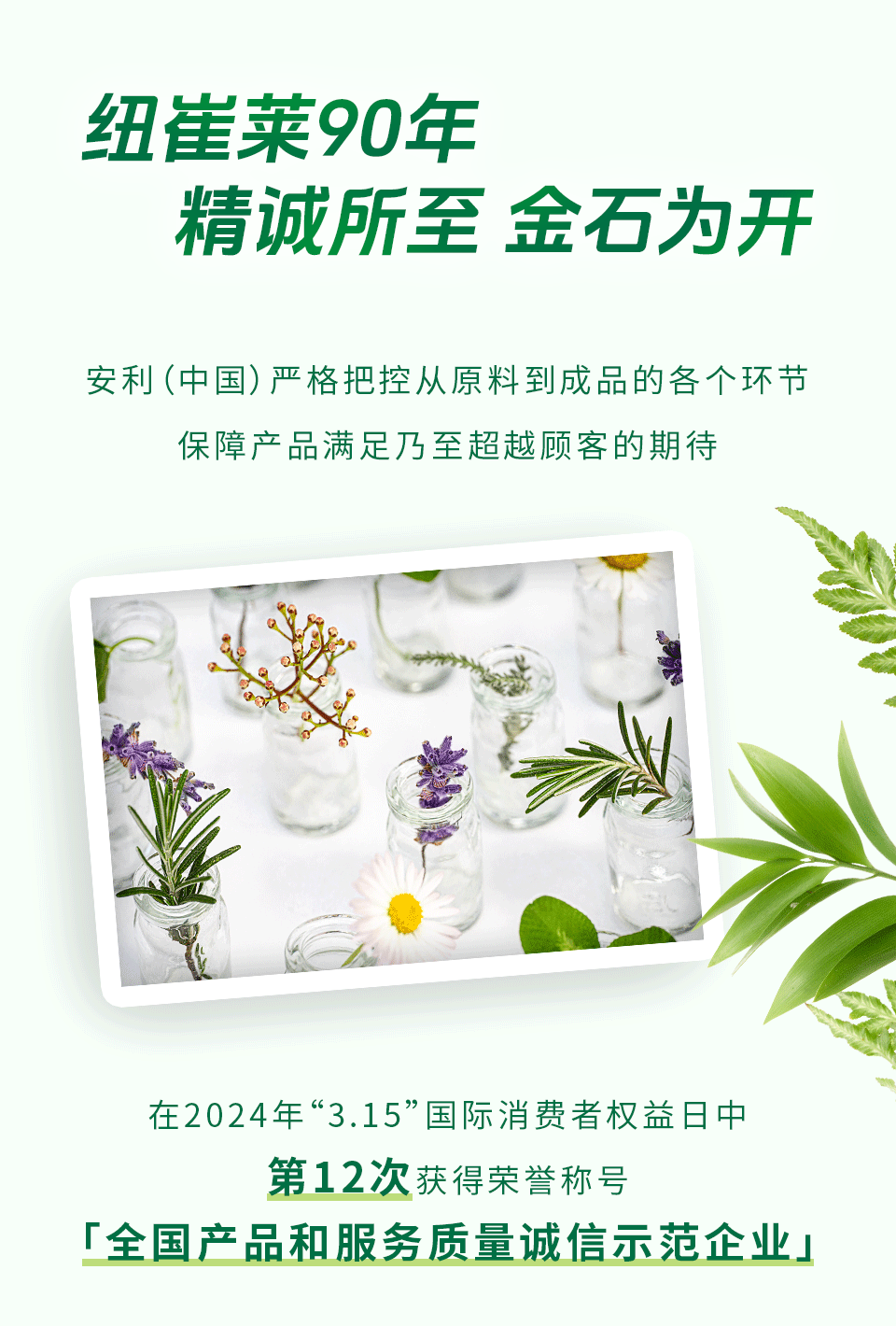 纽崔莱90年
精诚所至 金石为开

安利（中国）严格把控从原料到成品的各个环节
保障产品满足乃至超越顾客的期待

在2024年“3.15”国际消费者权益日中
第12次获得荣誉称号
「全国产品和服务质量诚信示范企业」
