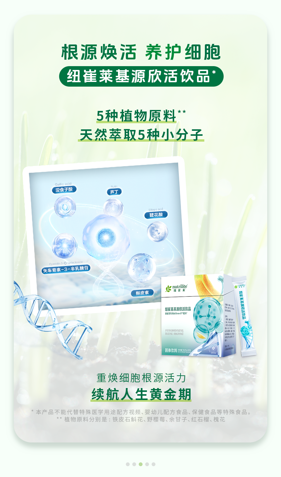 根源焕活 养护细胞

纽崔莱基源欣活饮品*

5种植物原料**
天然萃取5种小分子

重焕细胞根源活力
续航人生黄金期

* 本产品不能代替特殊医学用途配方食品、婴幼儿配方食品、保健食品等特殊食品。
** 植物原料分别是：铁皮石斛花、野樱莓、余甘子、红石榴、槐花