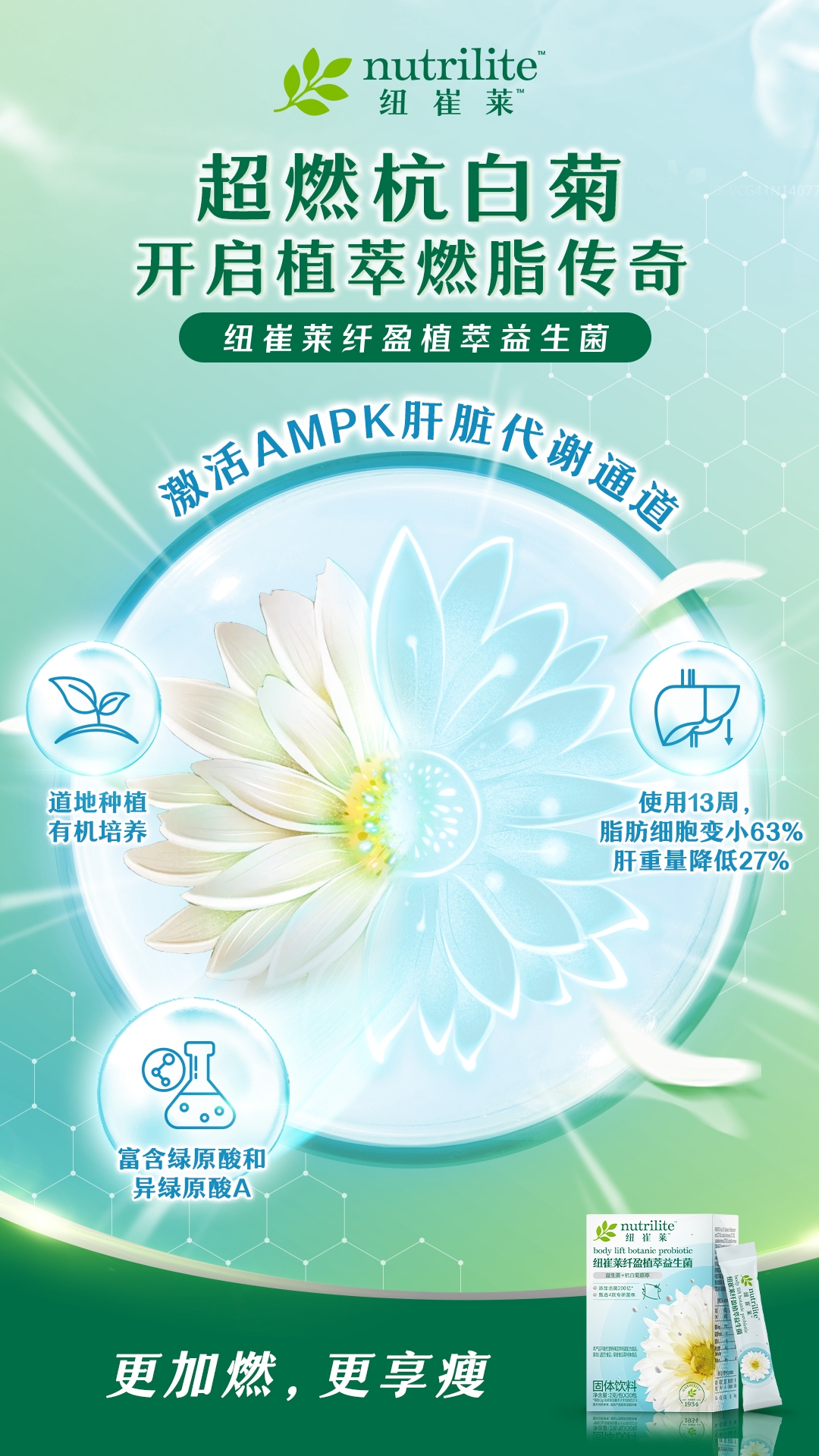 nutrilite 纽崔莱
 超燃杭白菊 开启植萃燃脂传奇
 纽崔莱纤盈植萃益生菌
 激活AMPK肝脏代谢通道
 道地种植 有机培养
 使用13周，脂肪细胞变小63% 肝重量降低27%
 富含绿原酸和异绿原酸A
 更加燃，更享瘦