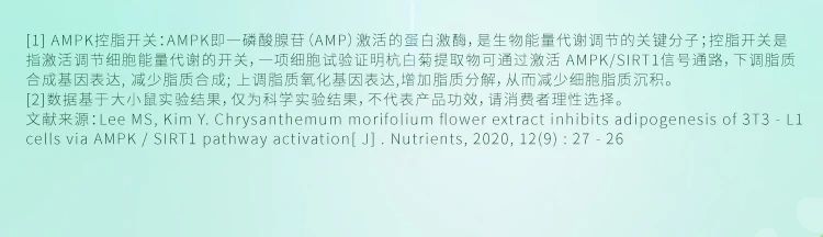 AMPK控脂开关：AMPK即一磷酸腺苷 (AMP) 激活的蛋白激酶，是生物能量代谢调节的关键分子；控脂开关是指激活调节细胞能量代谢的开关。一项细胞试验证明杭白菊提取物可通过激活 AMPK/SIRT1信号通路，下调脂质合成基因表达，减少脂质合成；上调脂质氧化基因表达，增加脂质分解，从而减少细胞脂质沉积。
 数据基于大小鼠实验结果，仅为科学实验结果，不代表产品功效，请消费者理性选择。
 文献来源：Lee MS, Kim Y. Chrysanthemum morifolium flower extract inhibits adipogenesis of 3T3 - L1 cells via AMPK / SIRT1 pathway activation[ J ] . Nutrients, 2020, 12(9) : 27 - 26