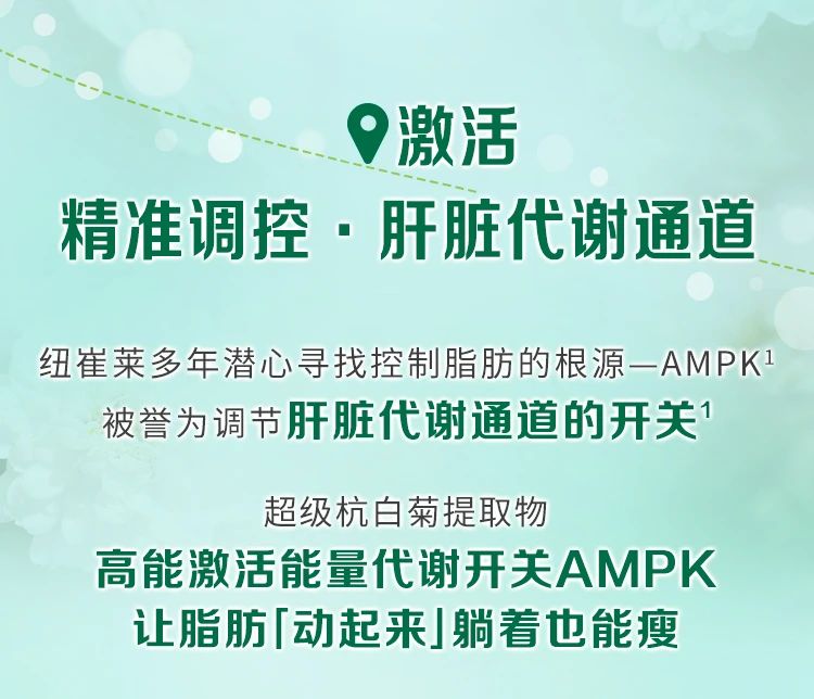 激活
 精准调控·肝脏代谢通道
 纽崔莱多年潜心寻找控制脂肪的根源—AMPK1
 被誉为调节肝脏代谢通道的开关1
 超级杭白菊提取物
 高能激活能量代谢开关AMPK
 让脂肪[动起来]躺着也能瘦