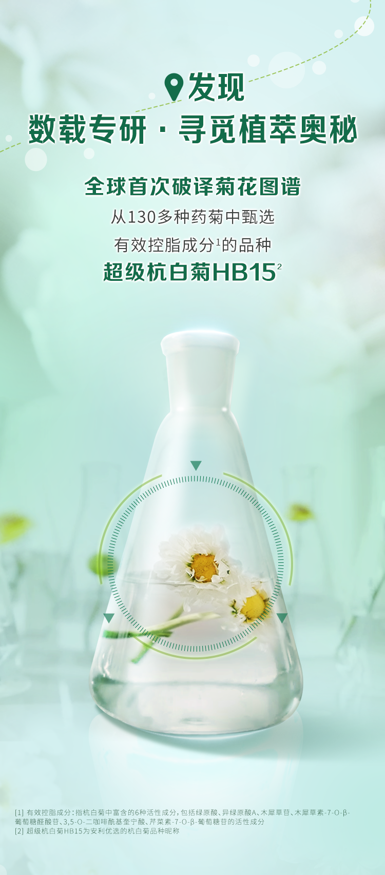 发现
 数载专研·寻觅植萃奥秘
 全球首次破译菊花图谱
 从130多种药菊中甄选
 有效控脂成分的品种
 超级杭白菊HB15