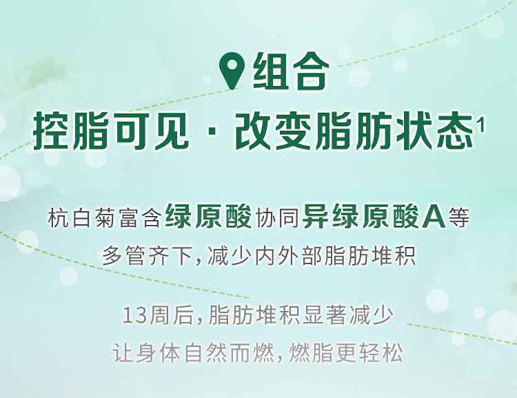 组合
 控脂可见·改变脂肪状态
 杭白菊富含绿原酸协同异绿原酸A等
 多管齐下，减少内外部脂肪堆积
 13周后，脂肪堆积显著减少
 让身体自然而燃，燃脂更轻松