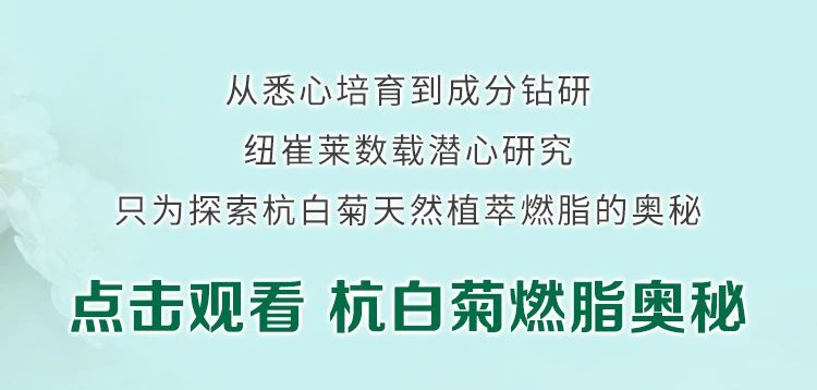 从悉心培育到成分钻研
 纽崔莱数载潜心研究
 只为探索杭白菊天然植萃燃脂的奥秘
 点击观看 杭白菊燃脂奥秘