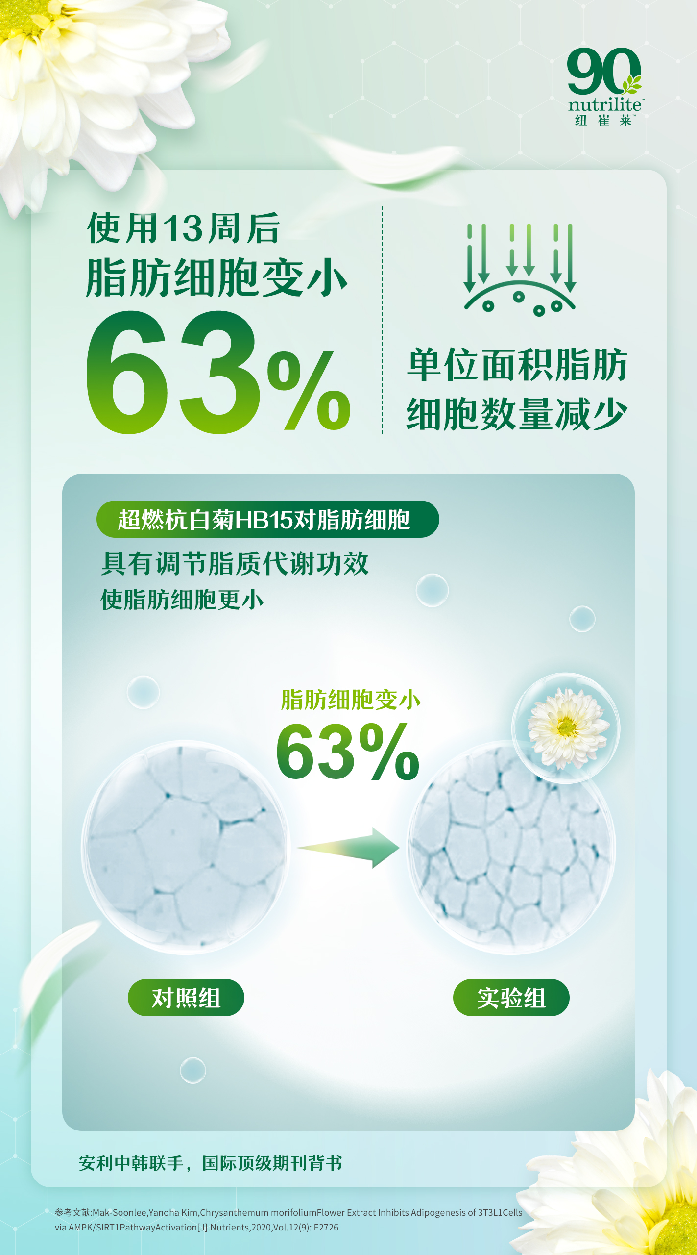 使用13周后
脂肪细胞变小
63%
单位面积脂肪
细胞数量减少

超燃杭白菊HB15对脂肪细胞
具有调节脂质代谢功效
使脂肪细胞更小

脂肪细胞变小
63%

对照组
实验组

安利中韩联手，国际顶级期刊背书