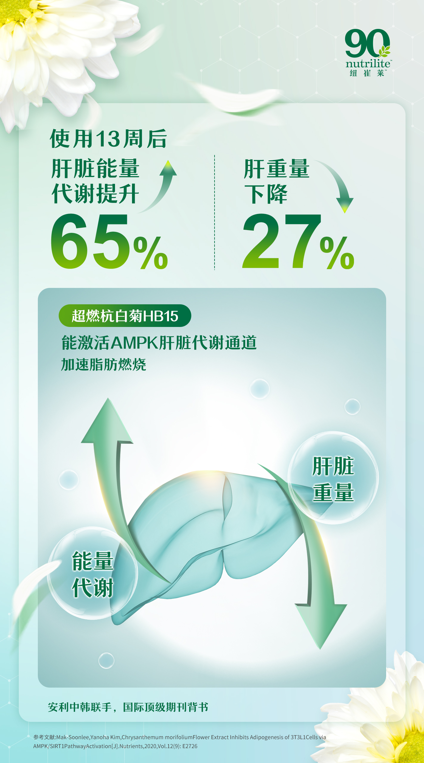 使用13周后
肝脏能量代谢提升65%
肝重量下降27%

超燃杭白菊HB15
能激活AMPK肝脏代谢通道
加速脂肪燃烧

安利中韩联手，国际顶级期刊背书