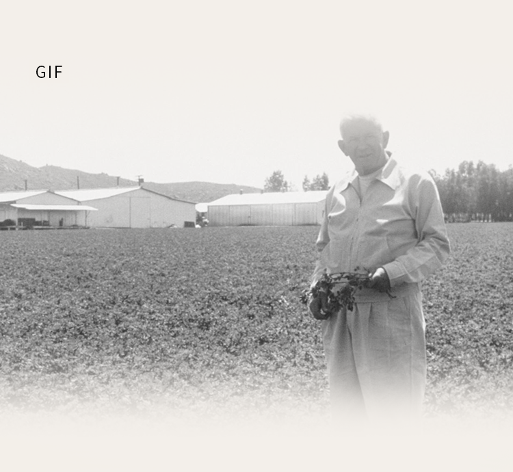 GIF