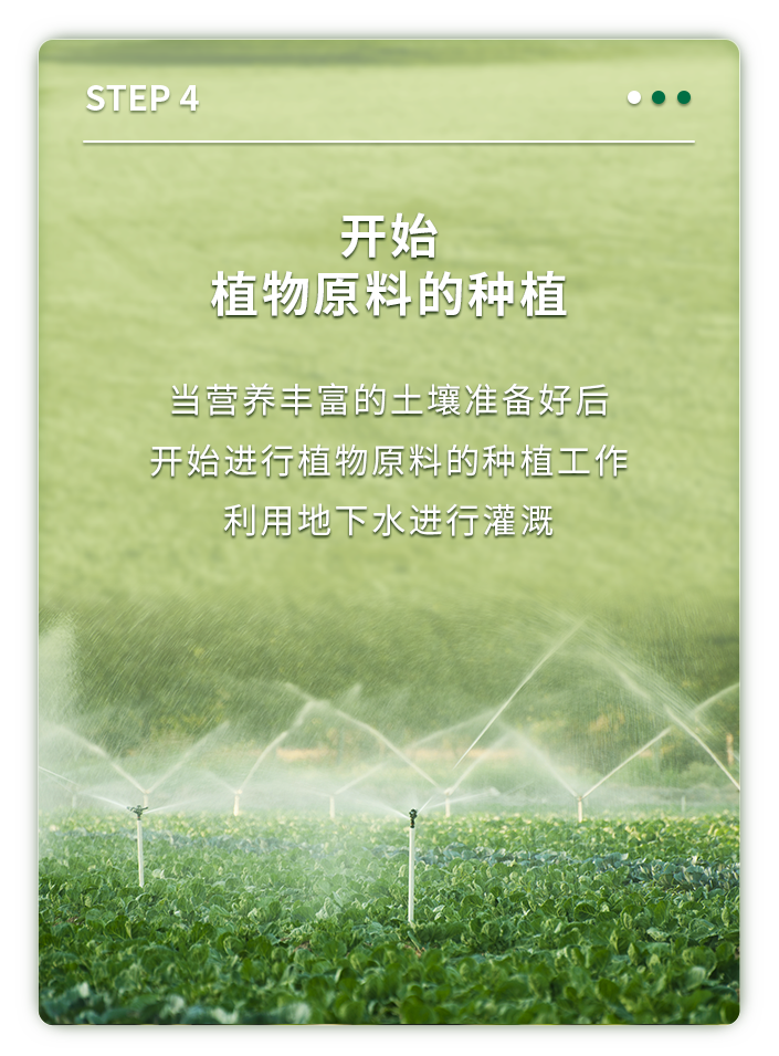 开始
植物原料的种植

当营养丰富的土壤准备好后
开始进行植物原料的种植工作
利用地下水进行灌溉