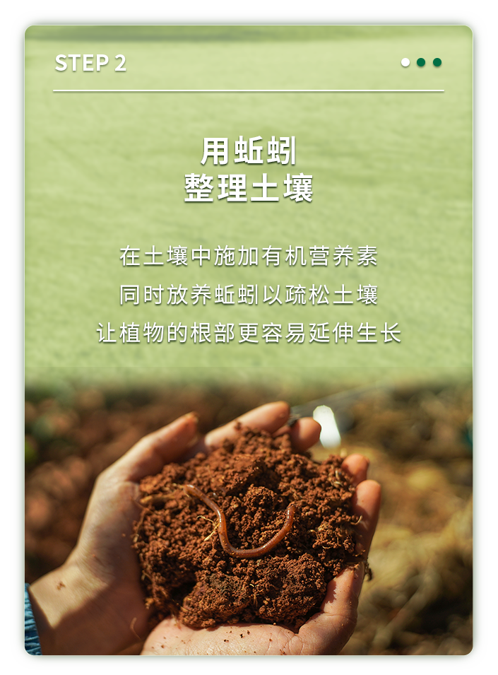 用蚯蚓
整理土壤

在土壤中施加有机营养素
同时放养蚯蚓以疏松土壤
让植物的根部更容易延伸生长