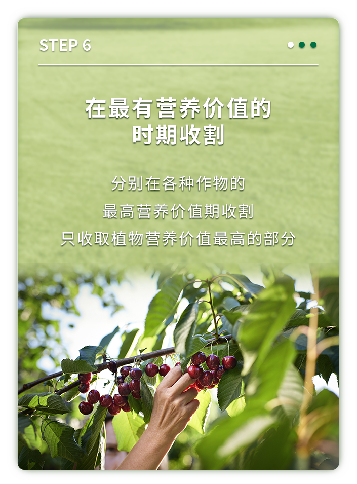 在最有营养价值的时期收割

分别在各种作物的
最高营养价值期收割
只收取植物营养价值最高的部分