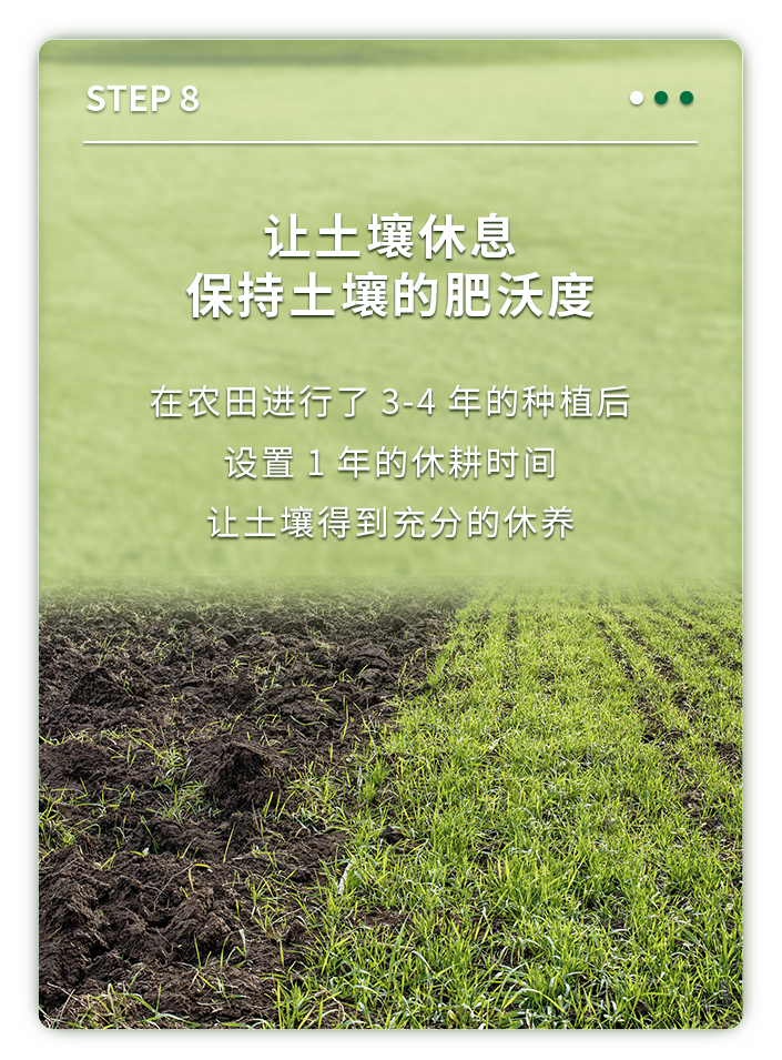 让土壤休息
保持土壤的肥沃度

在农田进行了 3-4 年的种植后
设置 1 年的休耕时间
让土壤得到充分的休养