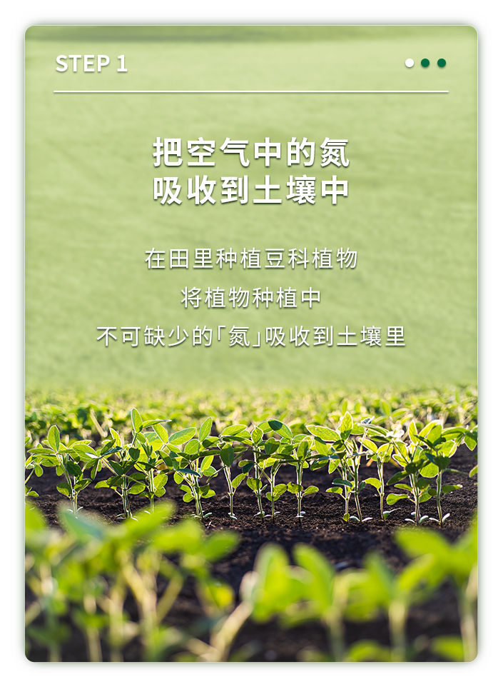 把空气中的氮
吸收到土壤中

在田里种植豆科植物
将植物种植中
不可缺少的「氮」吸收到土壤里