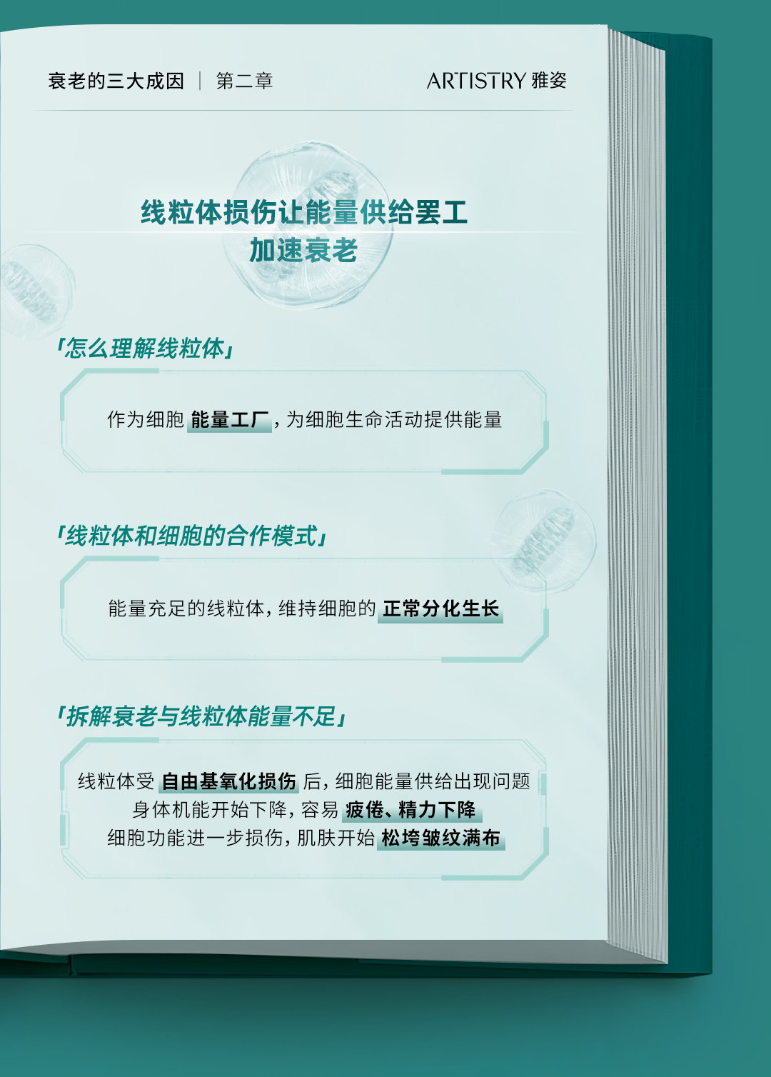 衰老的三大成因 | 第二章
ARTISTRY 雅姿

线粒体损伤让能量供给罢工
加速衰老

「怎么理解线粒体」
作为细胞 能量工厂，为细胞生命活动提供能量

「线粒体和细胞的合作模式」
能量充足的线粒体，维持细胞的 正常分化生长

「拆解衰老与线粒体能量不足」
线粒体受 自由基氧化损伤 后，细胞能量供给出现问题
身体机能开始下降，容易 疲倦、精力下降
细胞功能进一步损伤，肌肤开始 松垮皱纹满布