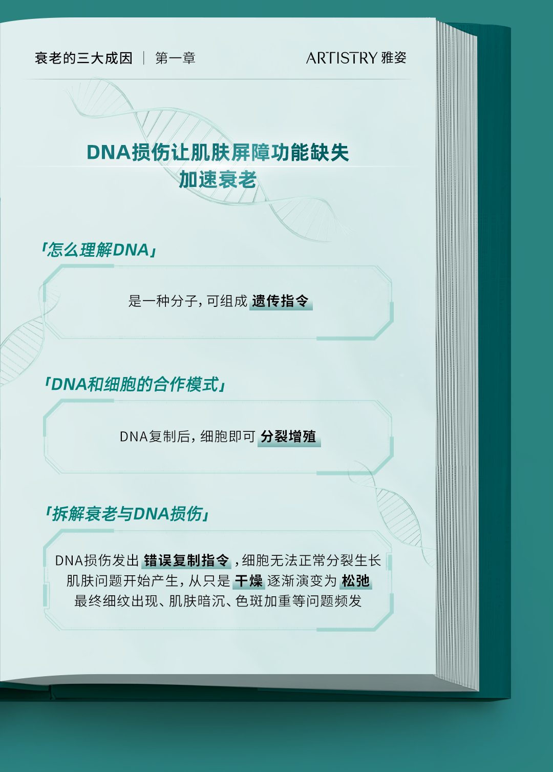 衰老的三大成因 | 第一章
ARTISTRY 雅姿

DNA损伤让肌肤屏障功能缺失加速衰老

「怎么理解DNA」
是一种分子，可组成遗传指令

「DNA和细胞的合作模式」
DNA复制后，细胞即可分裂增殖

「拆解衰老与DNA损伤」
DNA损伤发出错误复制指令，细胞无法正常分裂生长
肌肤问题开始产生，从只是干燥逐渐演变为松弛
最终细纹出现、肌肤暗沉、色斑加重等问题频发