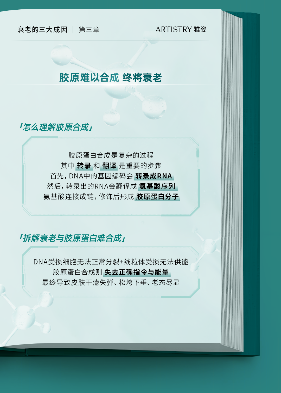 衰老的三大成因 | 第三章
ARTISTRY 雅姿

胶原难以合成 终将衰老

「怎么理解胶原合成」

胶原蛋白合成是复杂的过程
其中 转录 和 翻译 是重要的步骤
首先，DNA中的基因编码会转录成RNA
然后，转录出的RNA会翻译成氨基酸序列
氨基酸连接成链，修饰后形成胶原蛋白分子

「拆解衰老与胶原蛋白难合成」

DNA受损细胞无法正常分裂+线粒体受损无法供能
胶原蛋白合成则失去正确指令与能量
最终导致皮肤干瘪失弹、松垮下垂、老态尽显