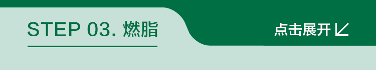 STEP 03. 燃脂
点击展开