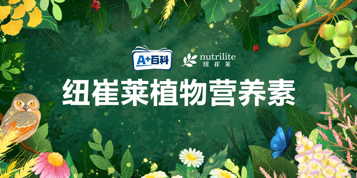 A+百科
nutrilite 纽崔莱

纽崔莱植物营养素