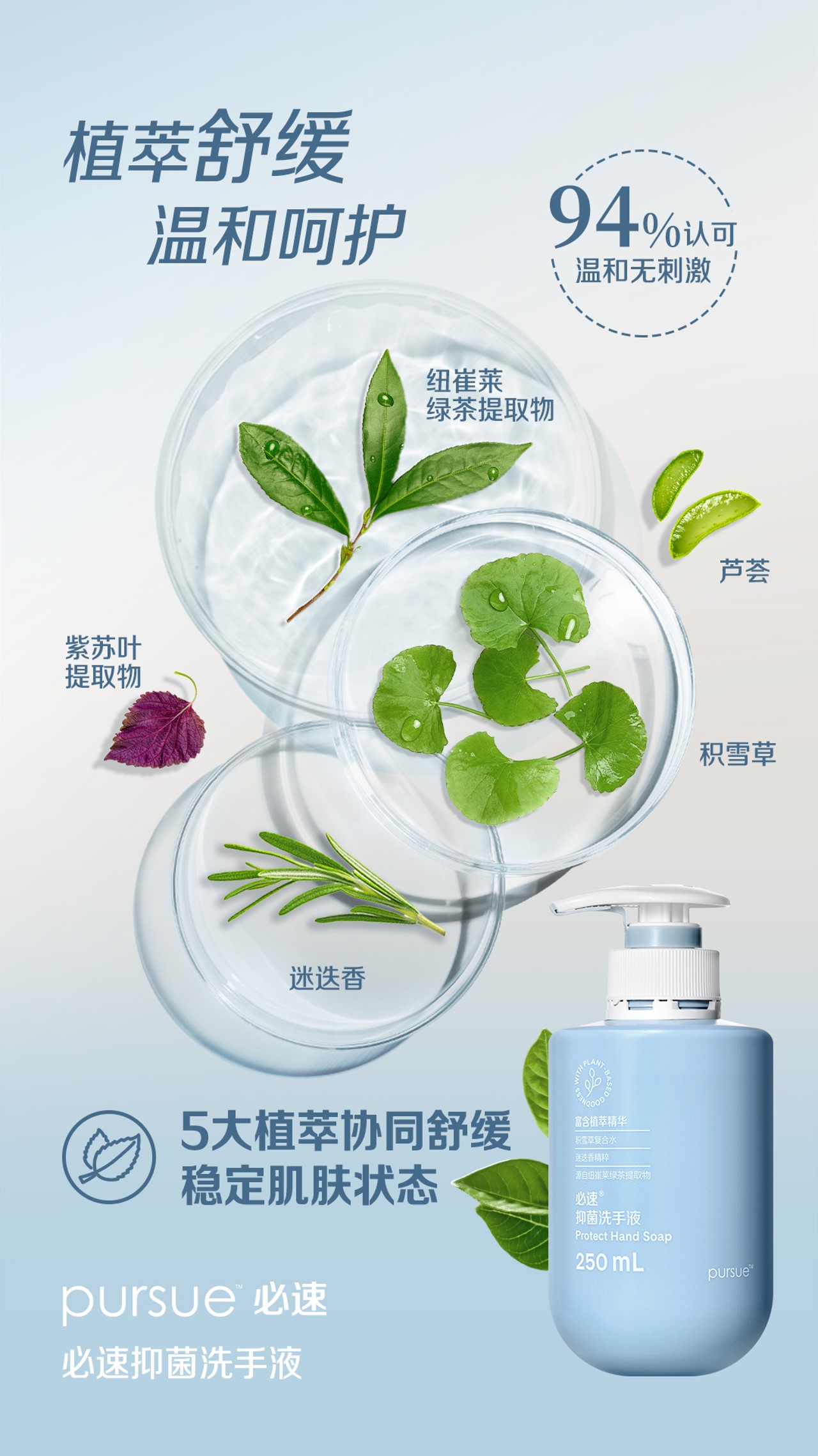 植萃舒缓
温和呵护

94%认可
温和无刺激

纽崔莱绿茶提取物
芦荟
紫苏叶提取物
积雪草
迷迭香

5大植萃协同舒缓
稳定肌肤状态

pursue 必速
必速抑菌洗手液
