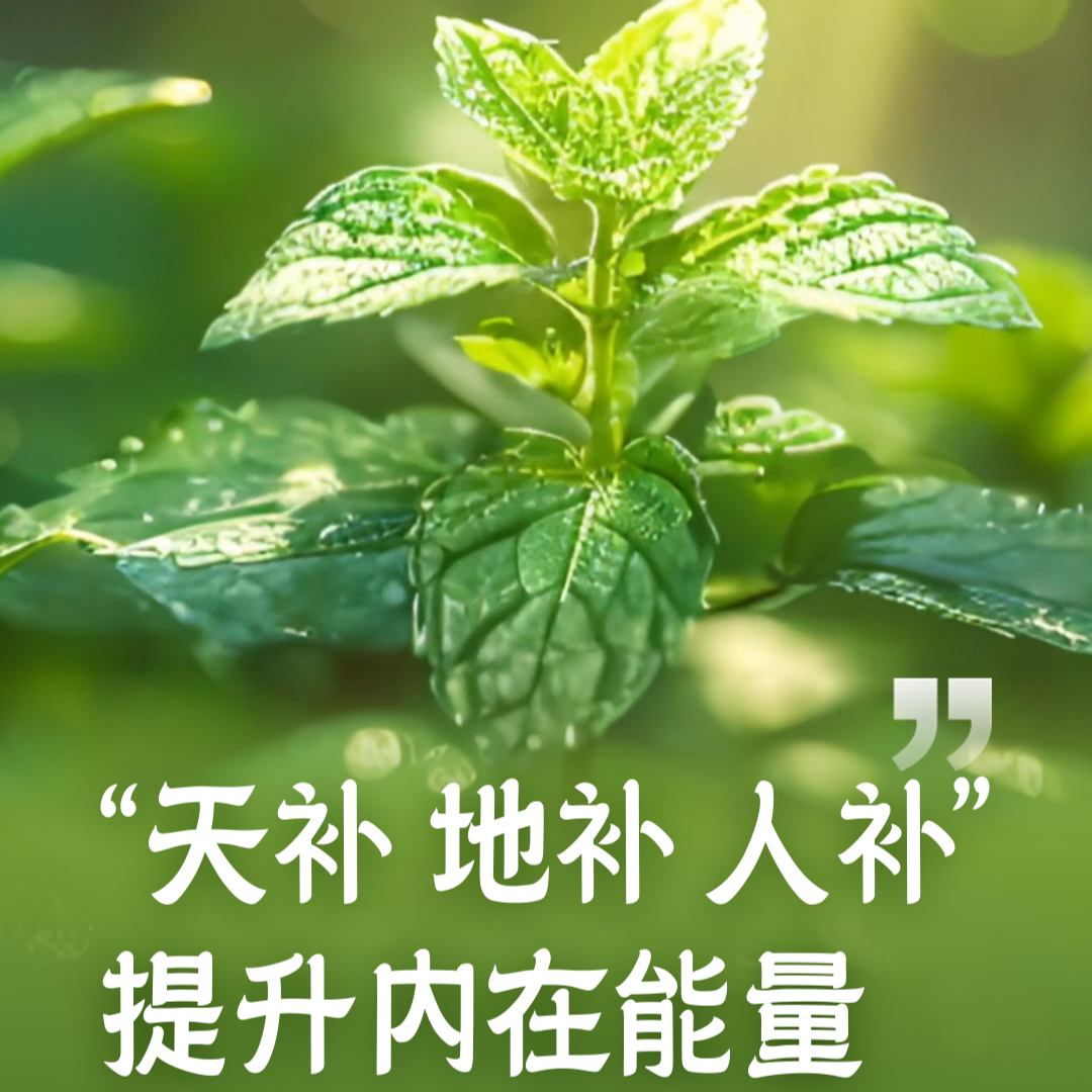 微信图片_20240710151906