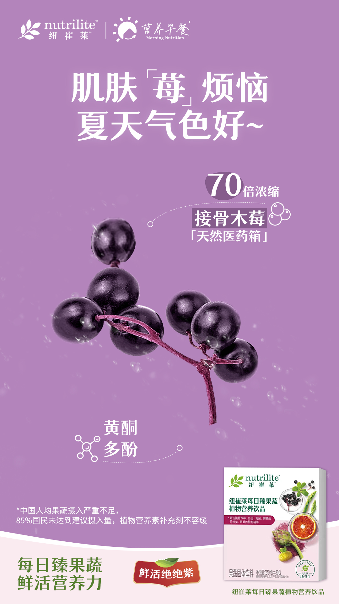 接骨木莓—天然医药箱