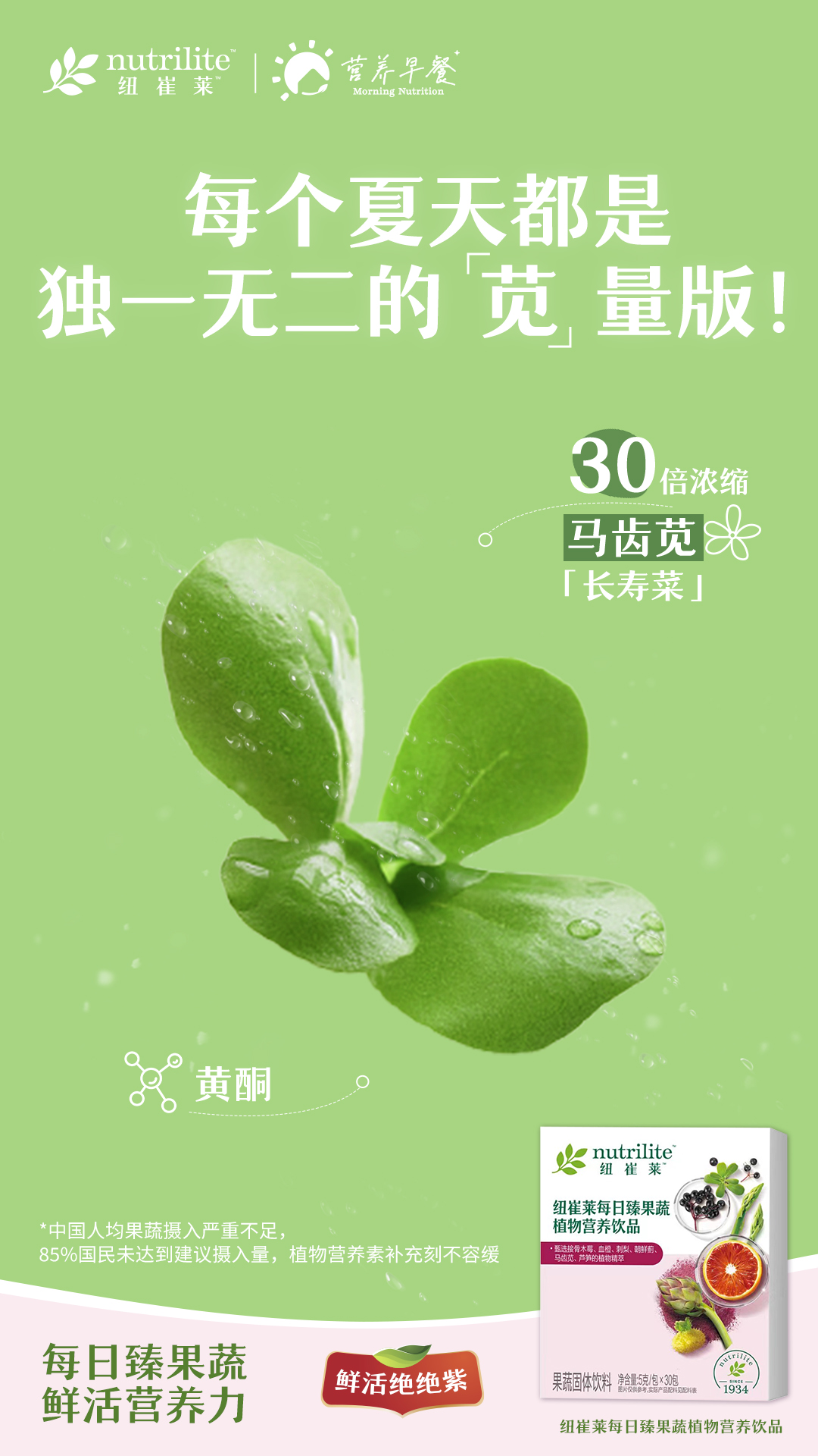 马齿苋—长寿菜