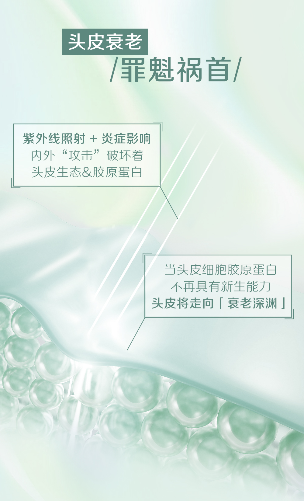 头皮衰老
/罪魁祸首/

紫外线照射 + 炎症影响
内外“攻击”破坏着
头皮生态&胶原蛋白

当头皮细胞胶原蛋白
不再具有新生能力
头皮将走向「衰老深渊」