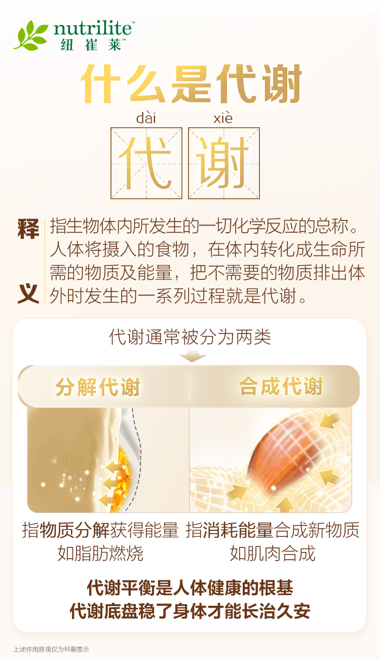 nutrilite 纽崔莱
 什么是代谢
释义
指生物体内所发生的一切化学反应的总称。人体将摄入的食物，在体内转化成生命所需的物质及能量，把不需要的物质排出体外时发生的一系列过程就是代谢。
 代谢通常被分为两类
 分解代谢
 合成代谢
 指物质分解获得能量 如脂肪燃烧
 指消耗能量合成新物质 如肌肉合成
 代谢平衡是人体健康的根基
 代谢底盘稳了身体才能长治久安
上述作用原理仅为科普展示